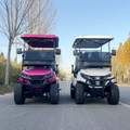 2/4/6/8 Seats Hunting Golf Cart Street Legal Electric off Road Golf Carts Car Buggy Golf Scooter Gocart