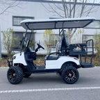 2/4/6/8 Seats Hunting Golf Cart Street Legal Electric off Road Golf Carts Car Buggy Golf Scooter Gocart